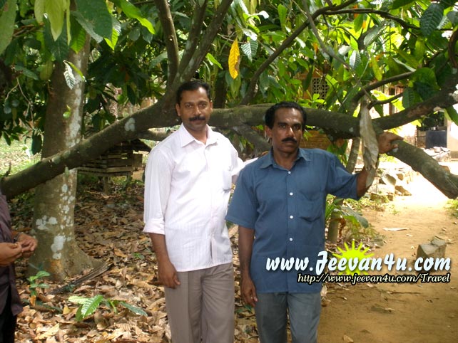 Shalu Raju at Puthuvely Kottayam